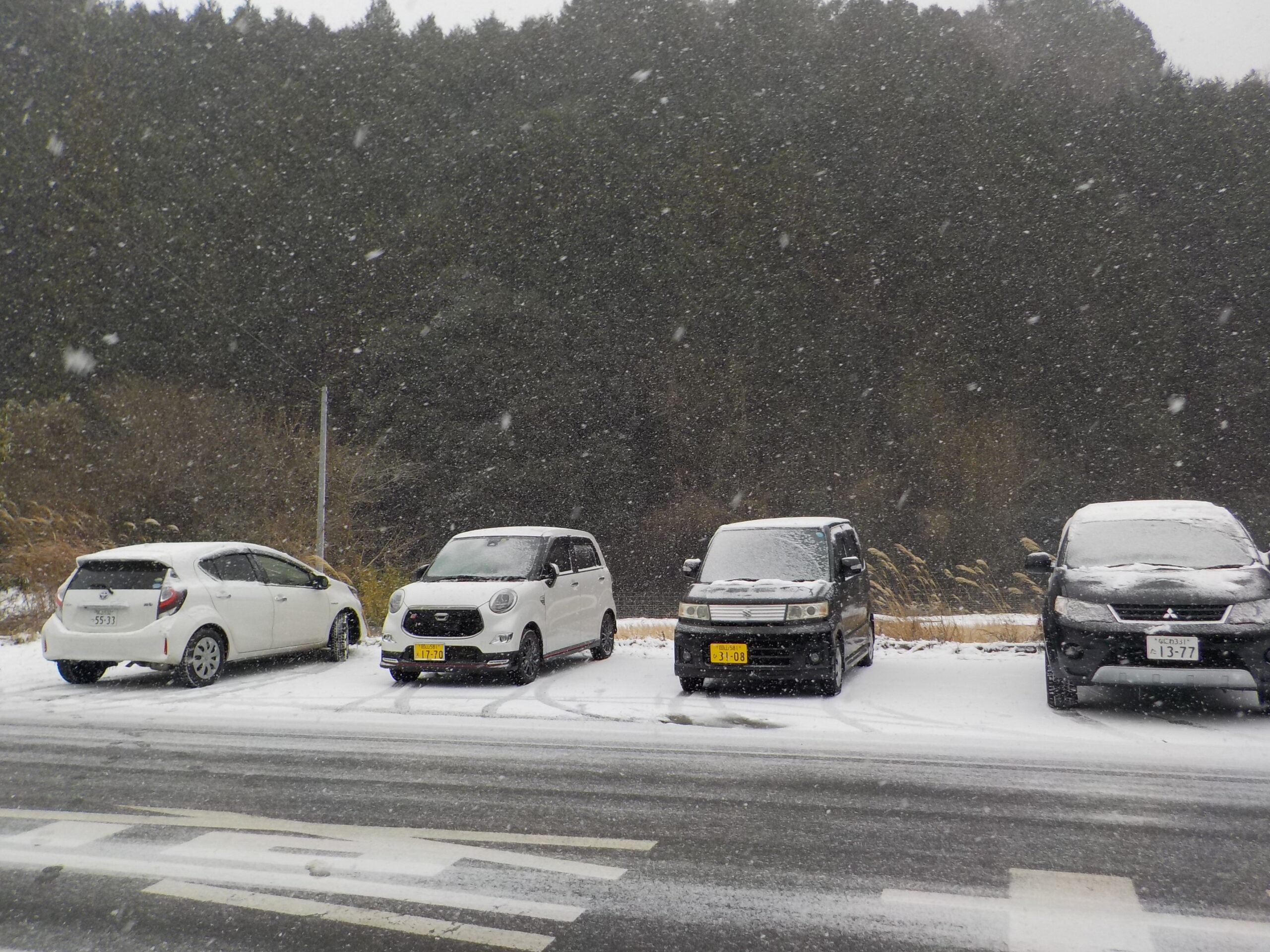 今日は雪国です。