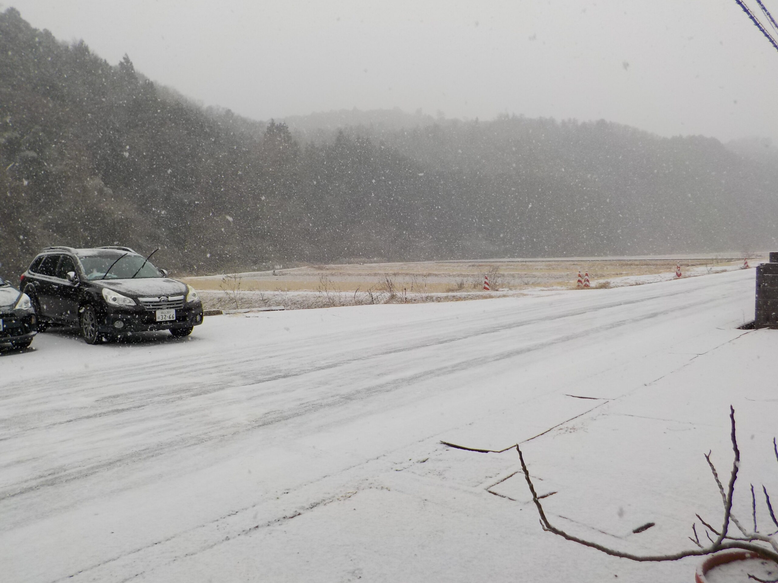 雪です。さっと降って積もって、さっと消えます。